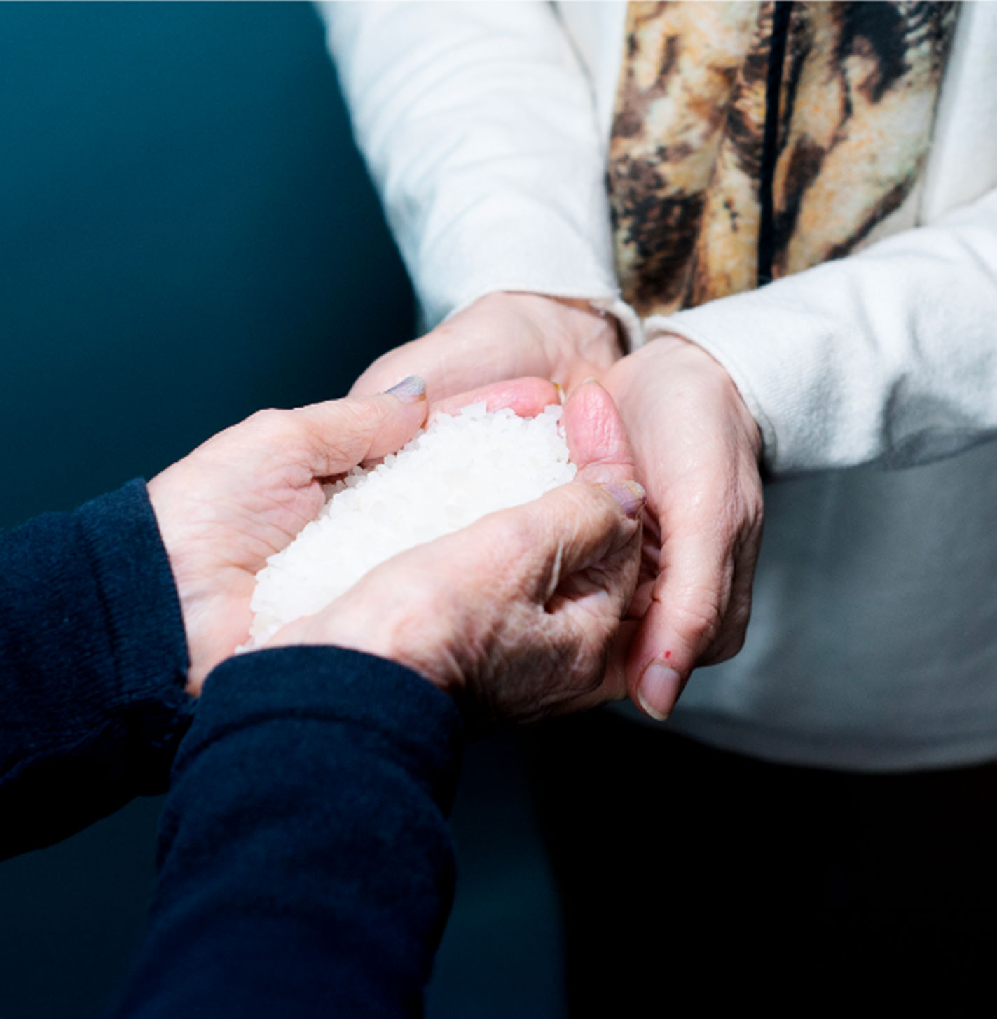 dettagli su mani di due persone che si passano dei granelli di sale